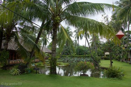 vn_september_15_00043